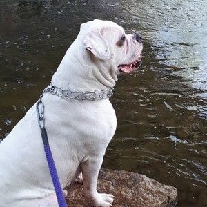 Meet your Posher, Zoe